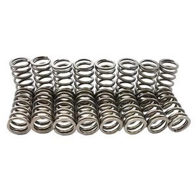 Valve Spring Set by PIONEER - 819018 gen/PIONEER/Valve Spring Set/Valve Spring Set_01